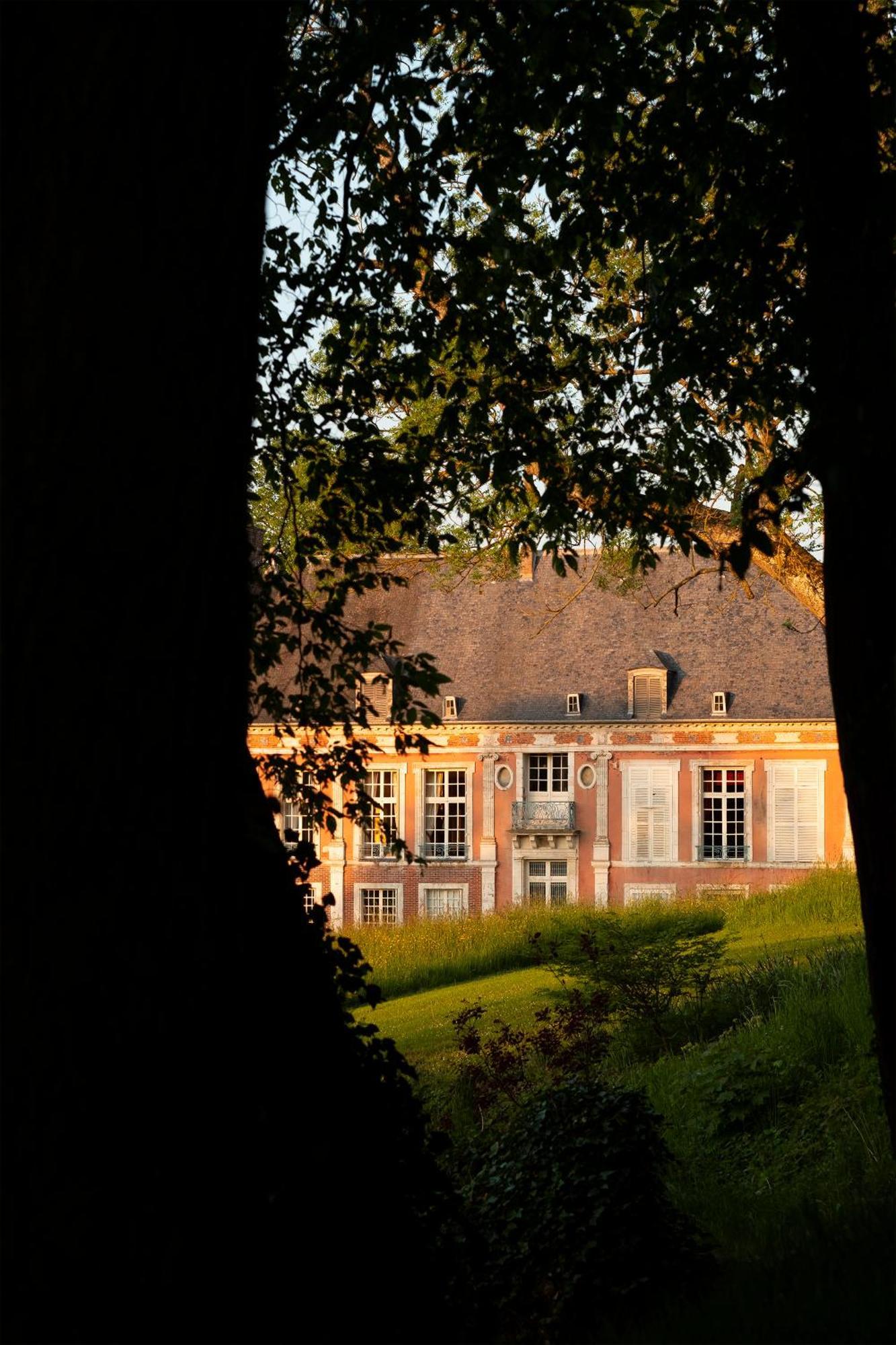 Le Chateau De Bonnemare - Bed And Breakfast Radepont Exterior foto