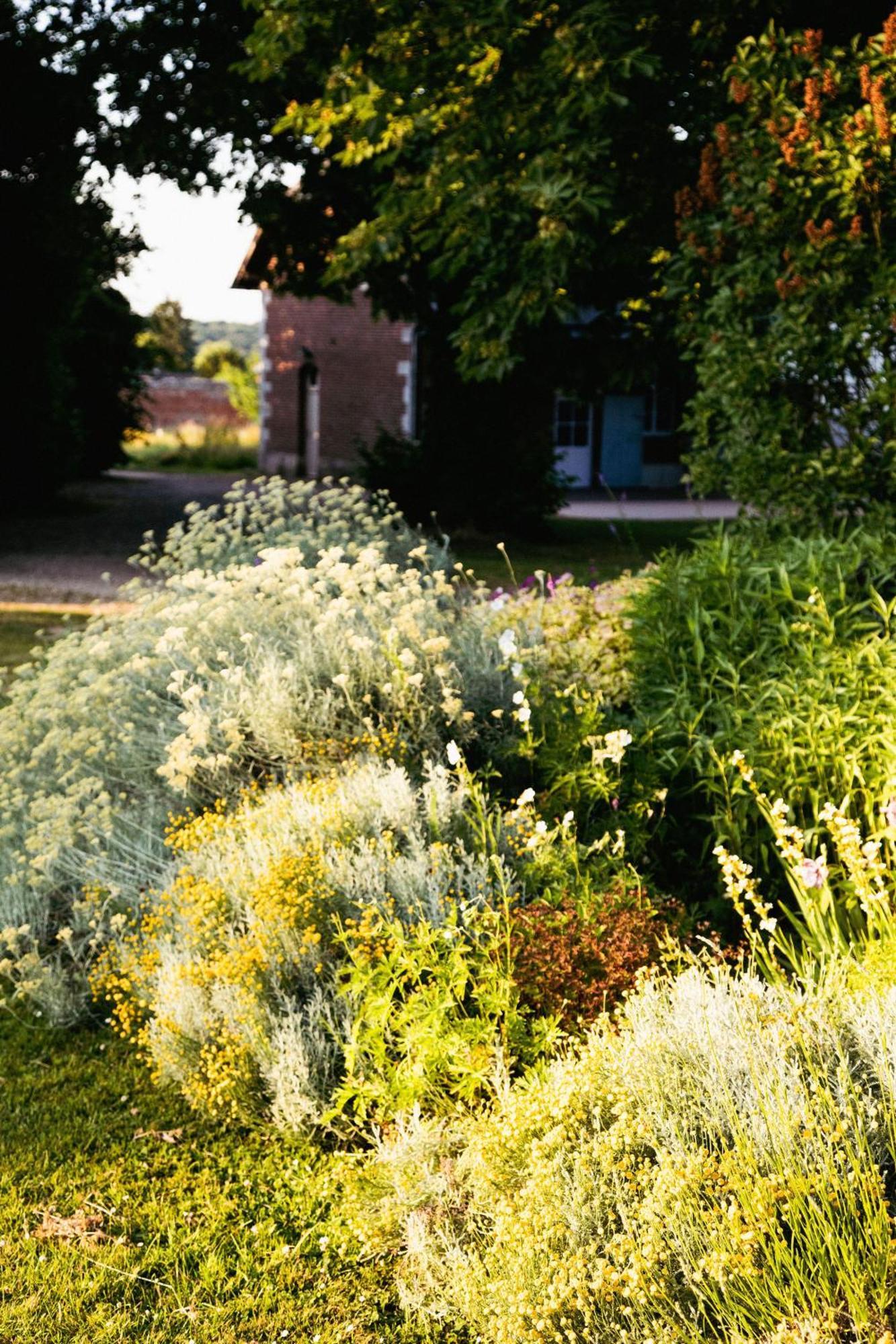 Le Chateau De Bonnemare - Bed And Breakfast Radepont Exterior foto