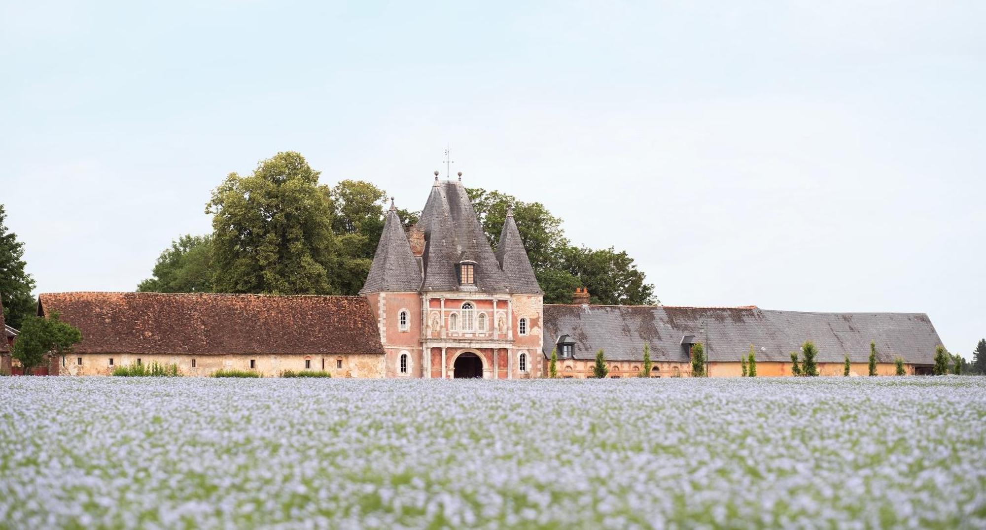 Le Chateau De Bonnemare - Bed And Breakfast Radepont Exterior foto