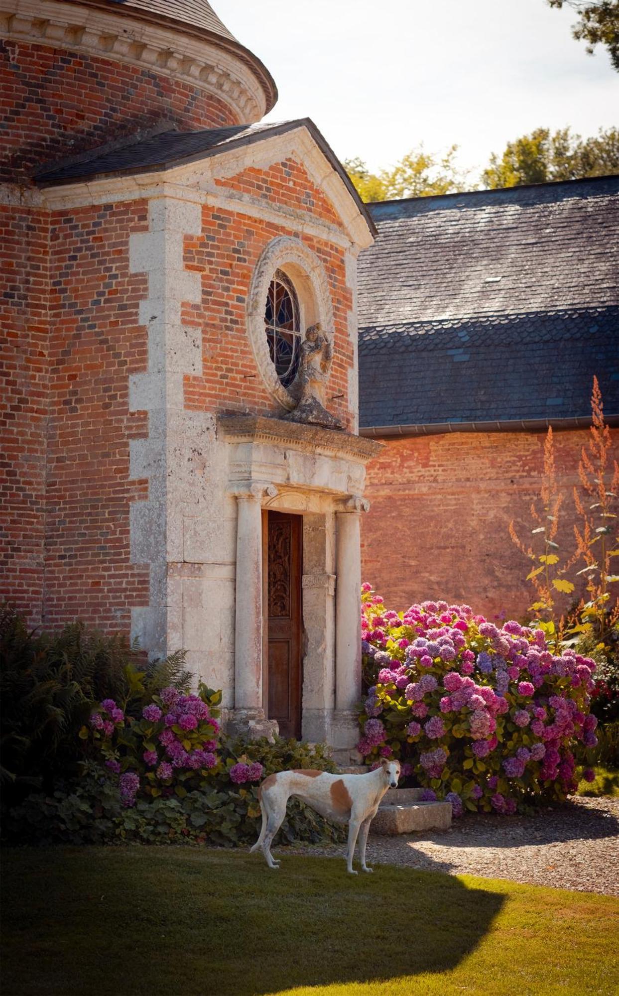 Le Chateau De Bonnemare - Bed And Breakfast Radepont Exterior foto